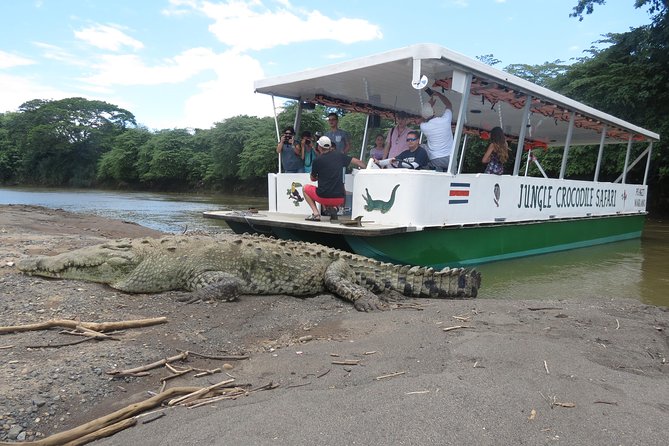 Crocodile Trip & Bird Watching Package in Goa